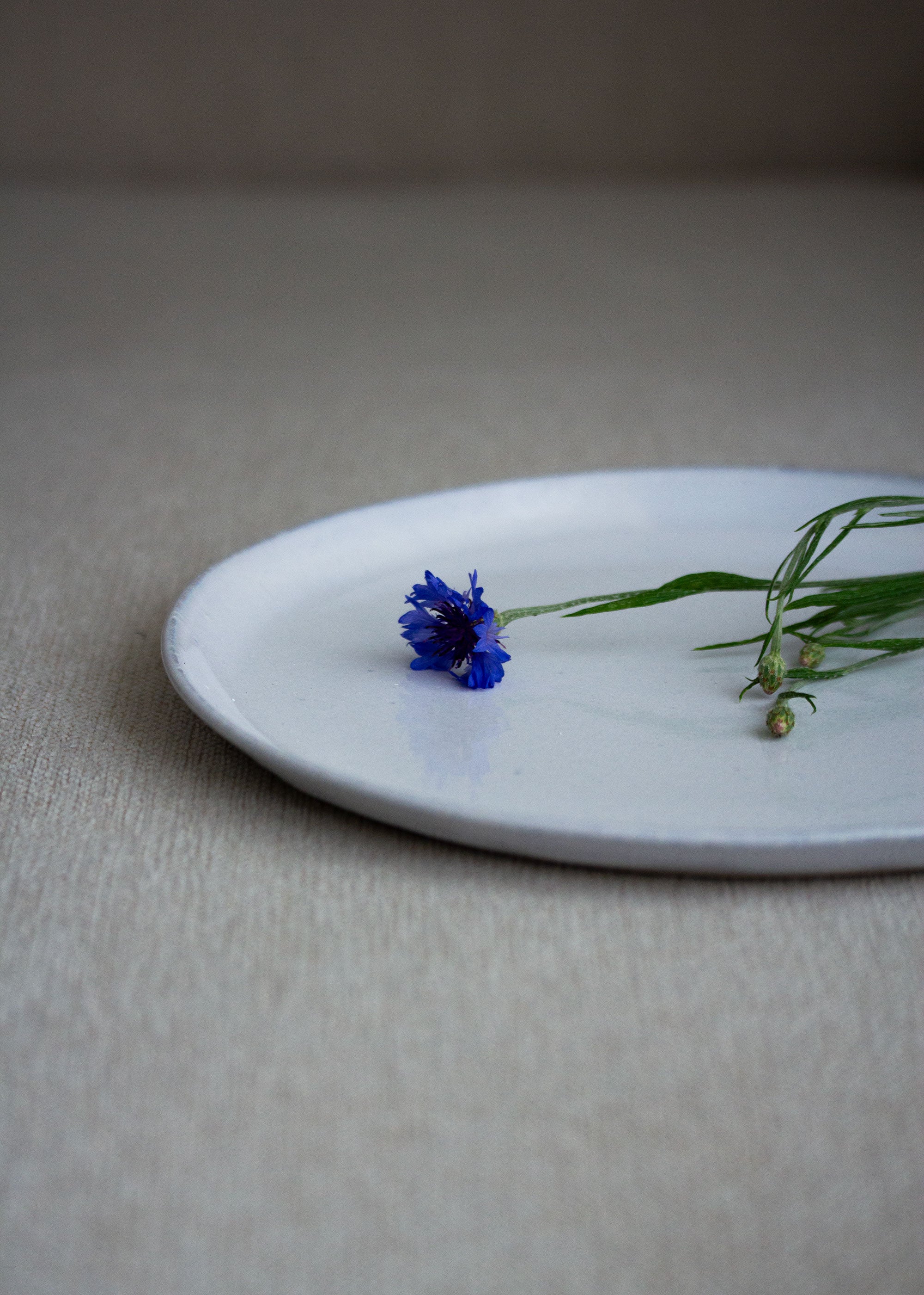 Runder Teller in Eisblau mit kleinem Rand auf dem eine Kornblume liegt