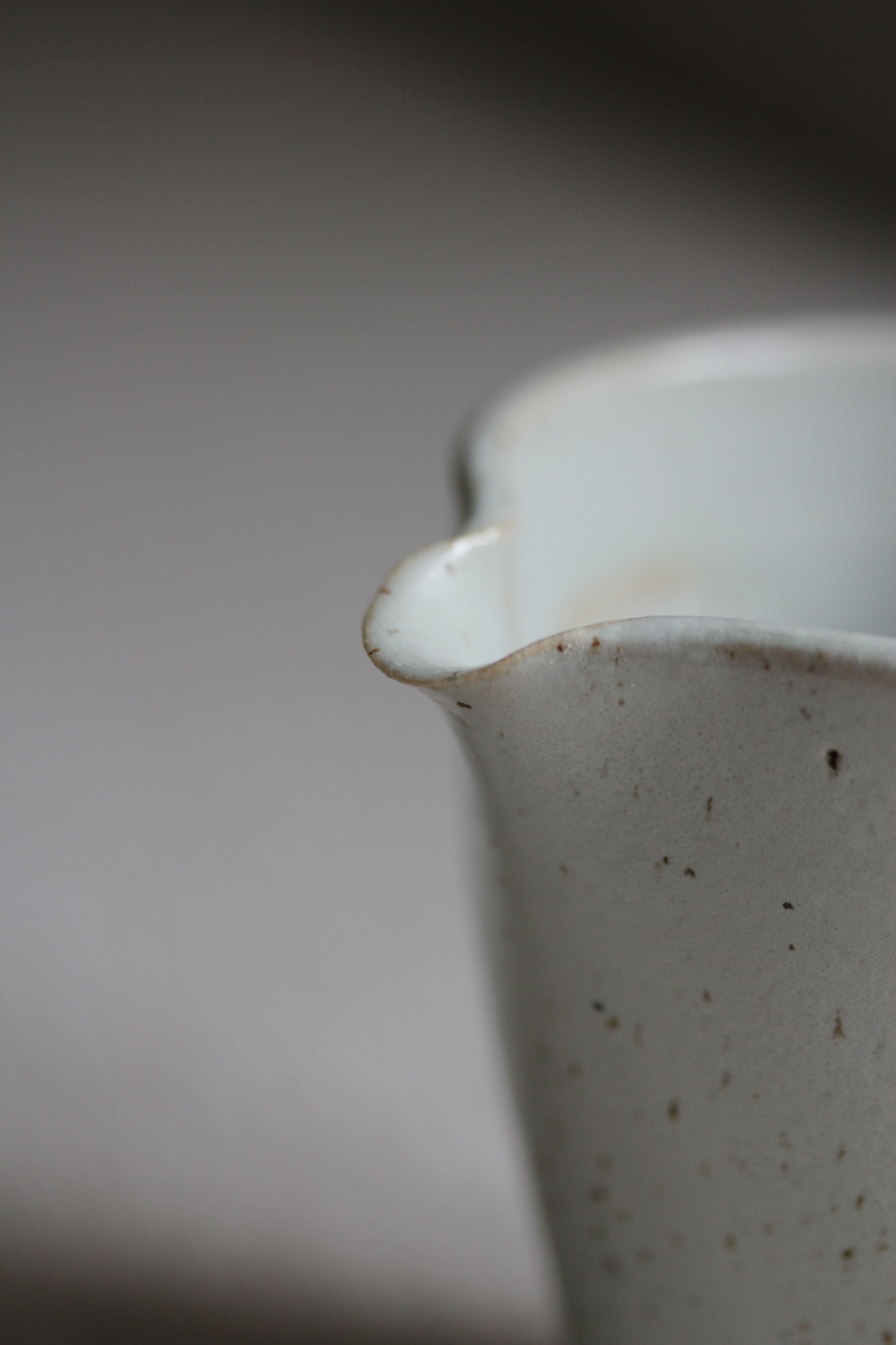 Detailansicht von MIlchkännchen Schnabel in Grau
